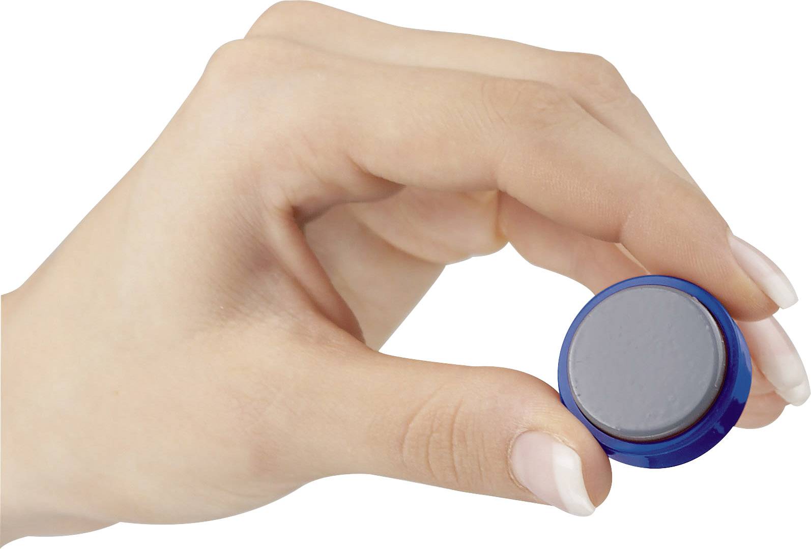 Maul Magnet MAULpro (Ø x H) 30 mm x 10 mm rund Blau 20 St. 6177135