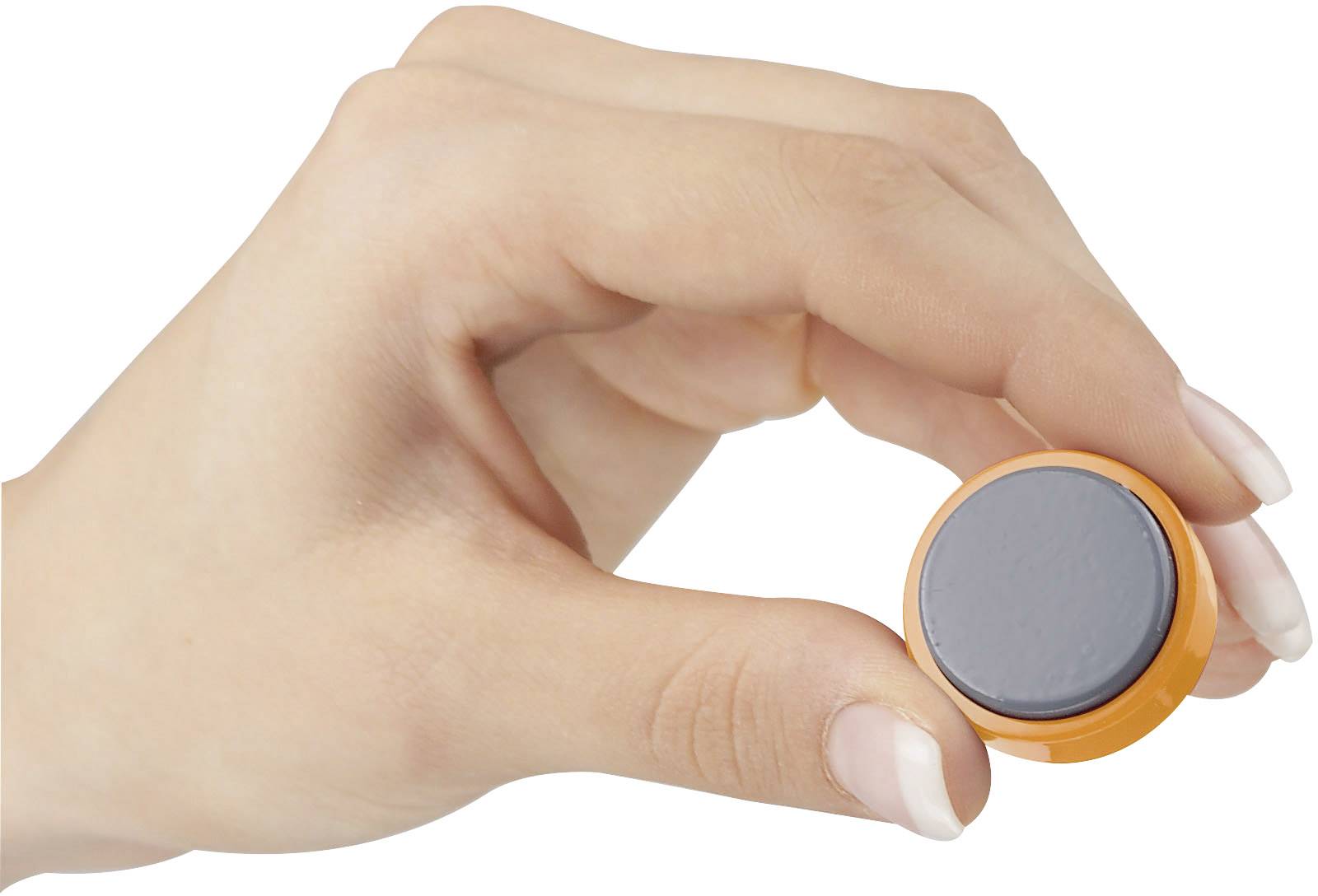 Maul Magnet MAULpro (Ø x H) 30 mm x 10 mm rund Orange 20 St. 6177143