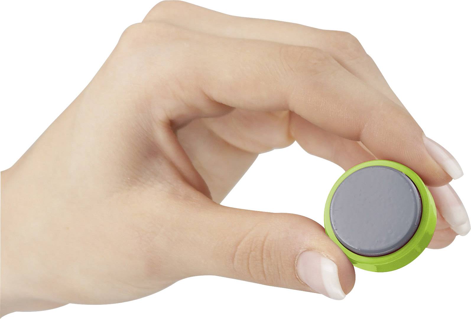 Maul Magnet MAULpro (Ø x H) 30 mm x 10 mm rund Hellgrün 20 St. 6177154