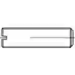 TOOLCRAFT TO-5448138 Gewindestift M8 10 mm 100 St. TOOLCRAFT TO-5448138 Gewindestift M8 10 mm 100 St.