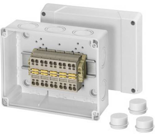 60000767 Abzweigkasten (L x B x H) 98 x 200 x 160mm Lichtgrau (RAL 7035) IP55 1St.