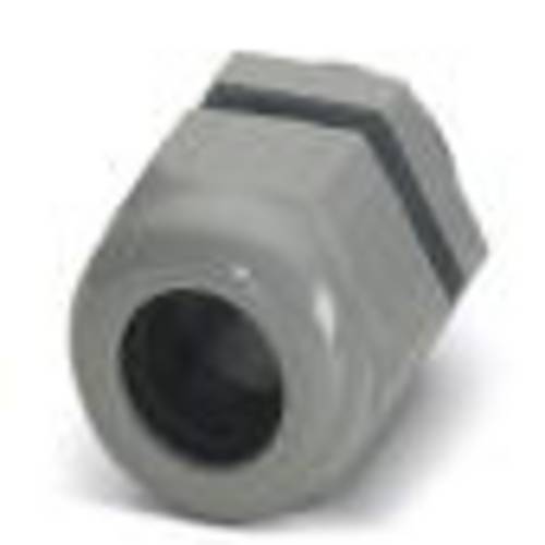 Phoenix Contact 1411155 Kabelverschraubung 1  Kunststoff Silber 5 St.