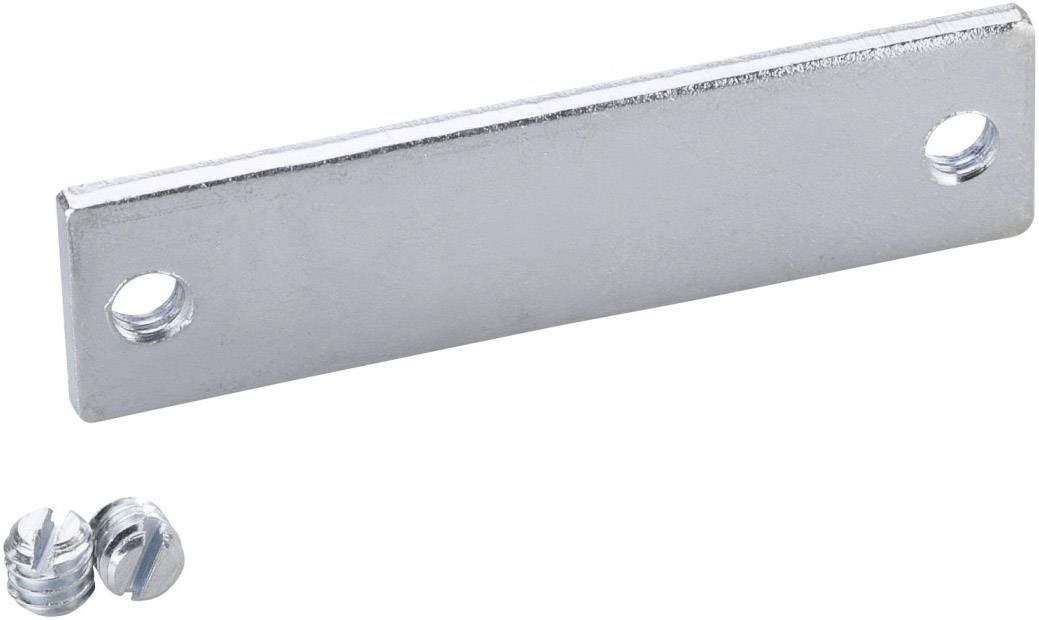 Metallplatte mit zwei Löchern und zwei Schrauben.