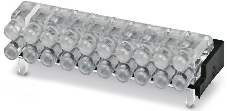 Ein rechteckiger LED-Leuchtkörper mit mehreren klaren LEDs ist auf einem schwarzen Plastikrahmen montiert.