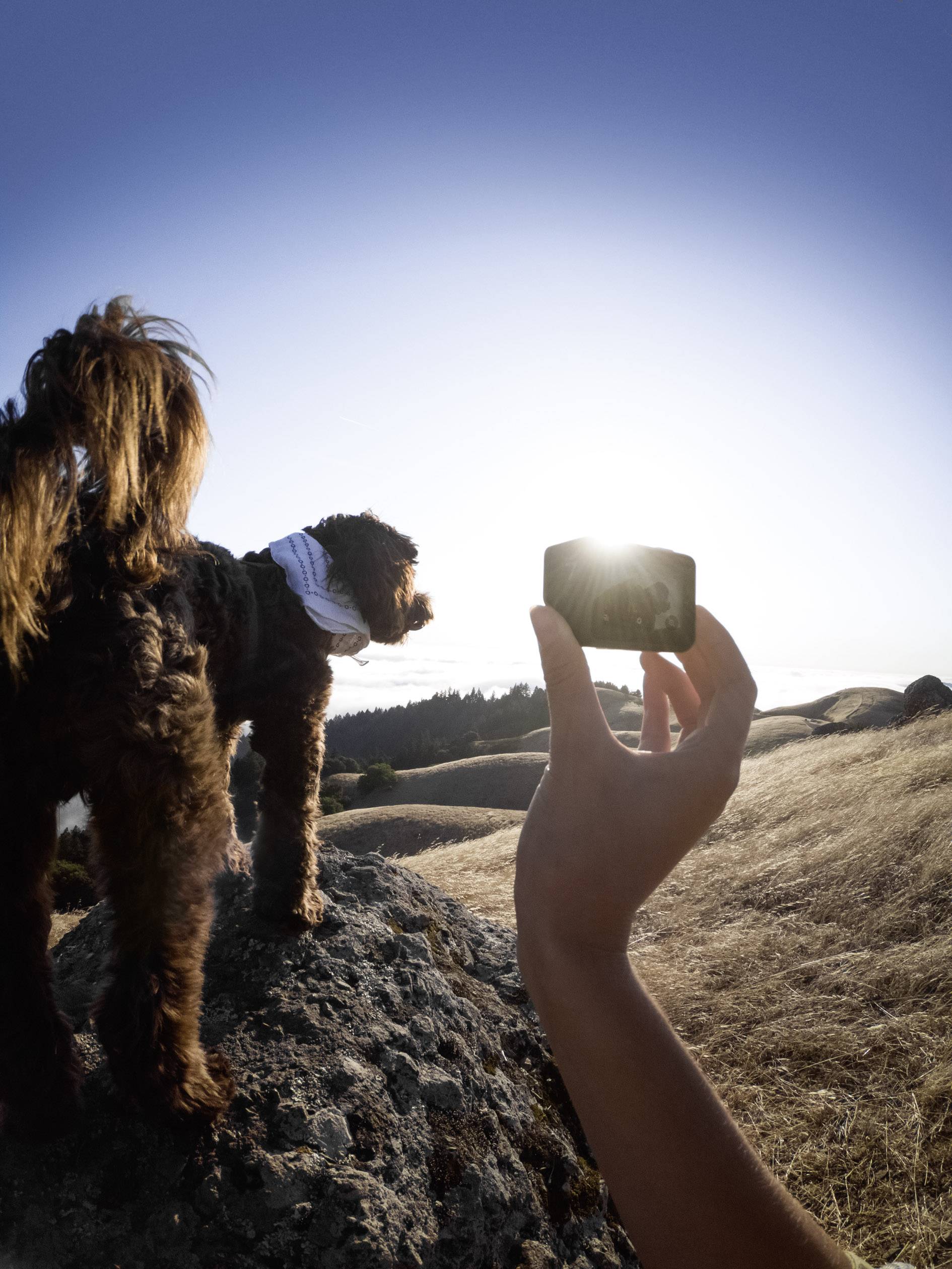 GoPro HERO 7 BLACK inkl. Super Suit und Handgriff Action Cam Full-HD, Wasserfest, Touch-Screen, 4K