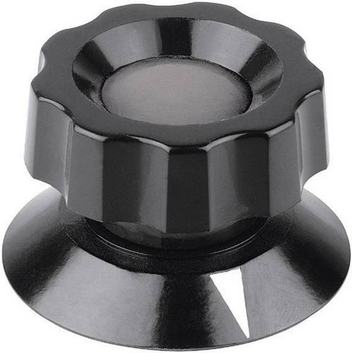 Mentor 477.61 477.61 Drehknopf mit Zeiger Schwarz (Ø x H) 21 mm x 19 mm 1 St.