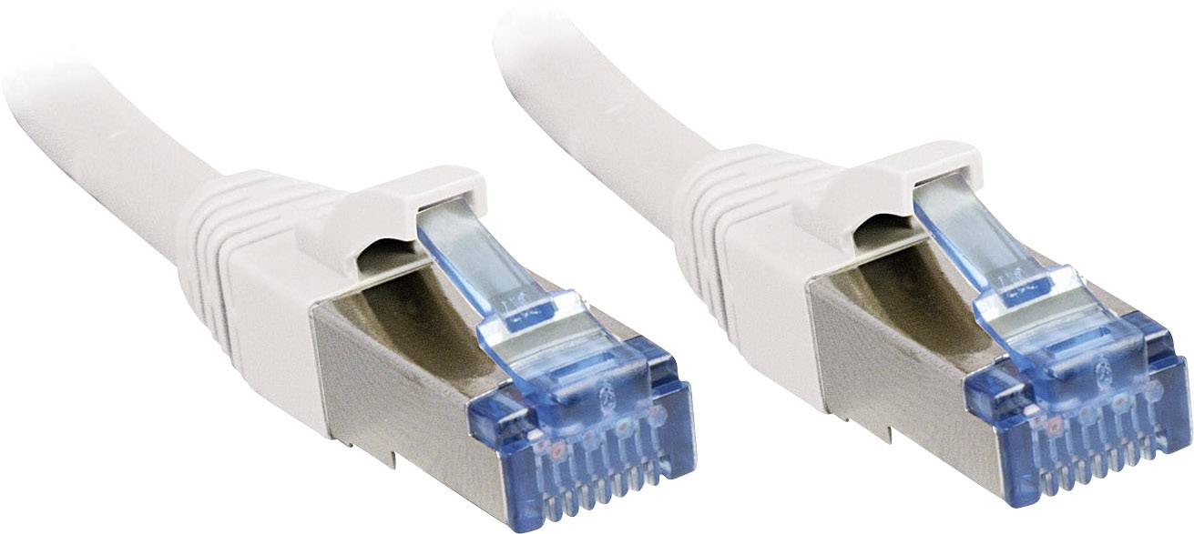 Zwei weiße Ethernet-Kabel mit blauen Steckern.