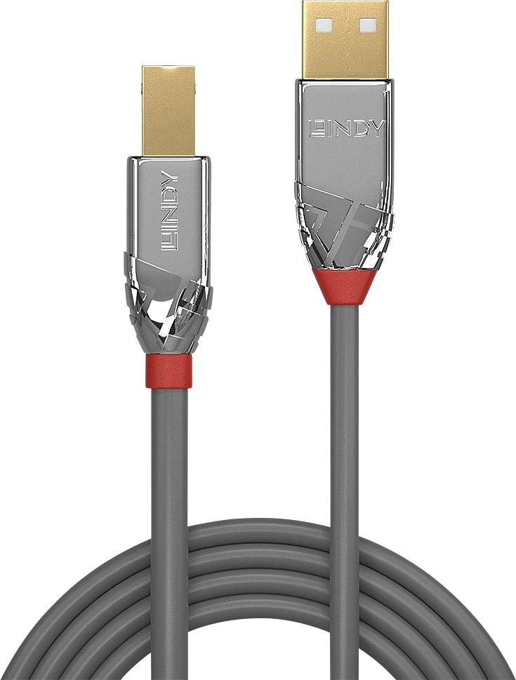 Ein graues USB-Kabel mit goldenen Anschlüssen und roten Akzenten an den Anschlüssen.
