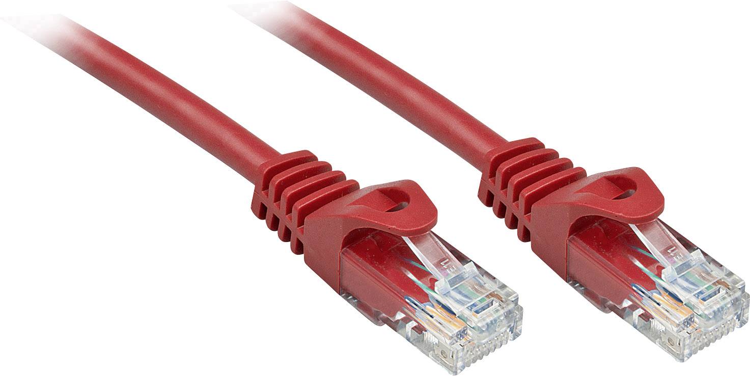 Zwei rote Ethernet-Kabel mit RJ45-Steckern nebeneinander.