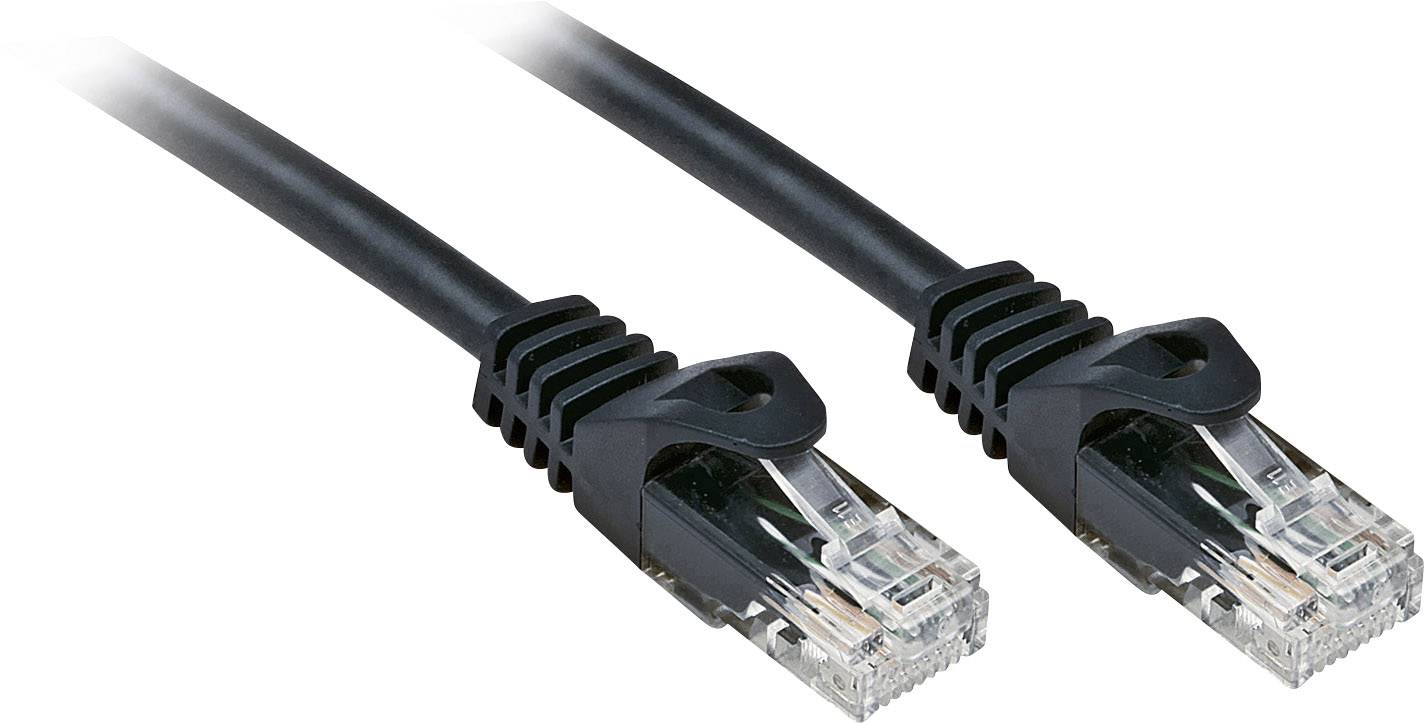 Zwei schwarze Netzwerkkabel mit RJ-45-Steckern, nebeneinander liegend. Geeignet für Ethernet-Verbindungen in Netzwerken.