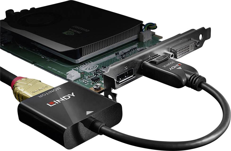 Grafikkarte von LINDY mit angeschlossenen HDMI- und DisplayPort-Kabeln. Technische Hardware für Computer.