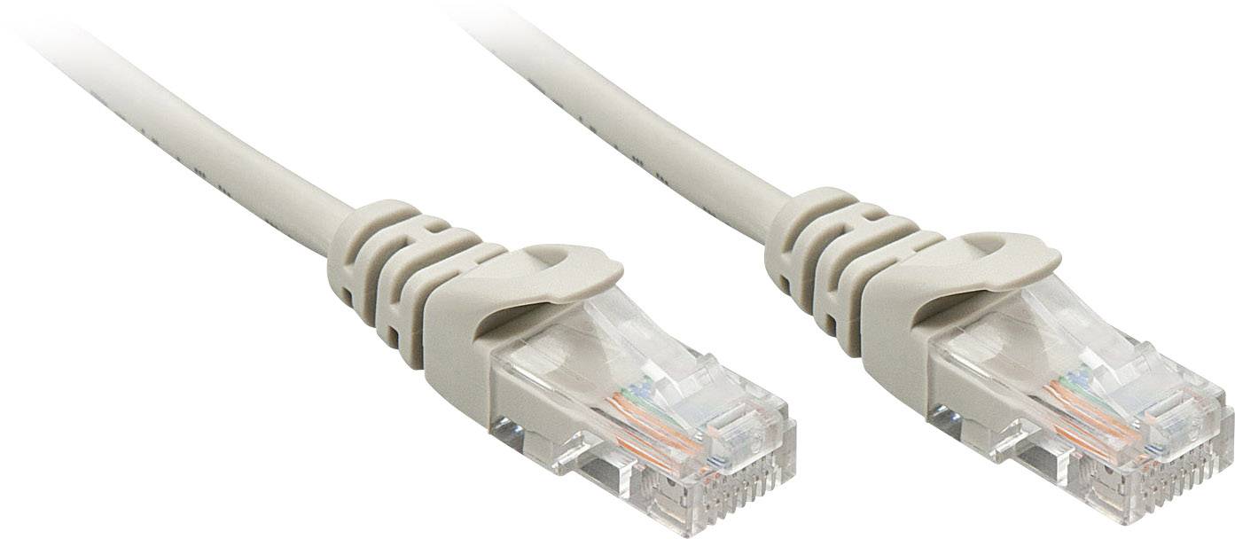 Zwei beige Ethernet-Kabel mit RJ-45-Steckern, verwendet zur Netzwerkverbindung.
