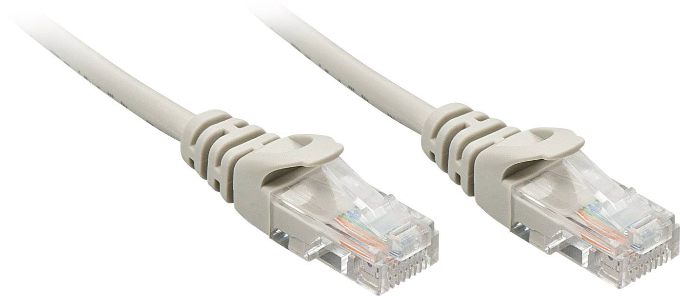 Zwei beige Ethernet-Kabel mit durchsichtigen Steckern liegen nebeneinander. Sie werden häufig für Netzwerkinternetverbindungen verwendet.