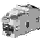 Bachmann RJ45 Netzwerk Adapter CAT 6 [1x RJ45-Buchse - 1x RJ45-Buchse] Silber