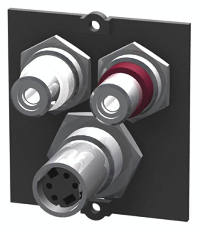 Bachmann - Modulares Faceplate-Snap-In - RCA X 2, Mini-DIN 4-polig