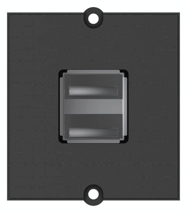 Bachmann Custom module - Modulares Faceplate-Snap-In - USB X 2 - Schwarz