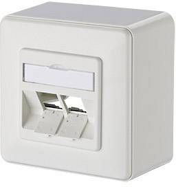 Ein weißer, rechteckiger Netzwerkanschluss mit zwei freien RJ-45-Buchsen für Ethernet-Kabel, an einer Wand montiert.