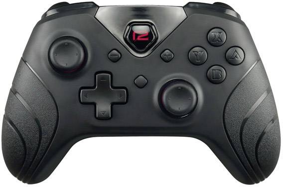 Nintendo R2GNSWPROPADX Gamepad Nintendo Switch Grau