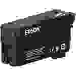 Epson Druckerpatrone T40C1 Original Schwarz C13T40C140