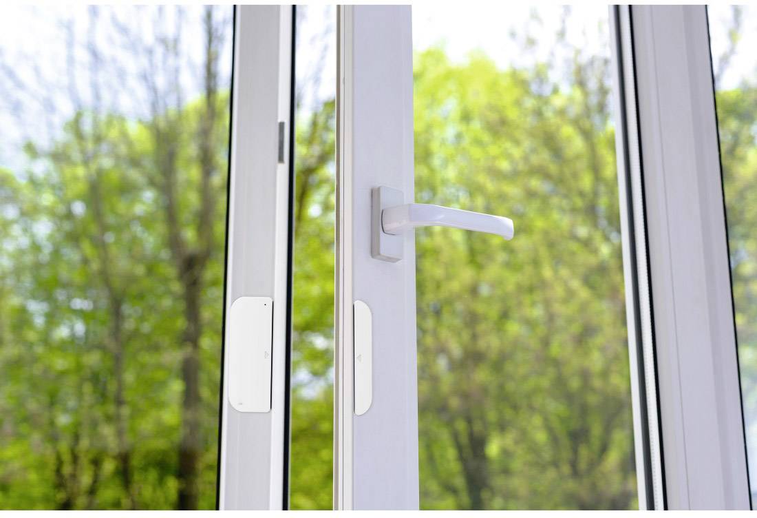 Blick durch ein geöffnetes Fenster auf grüne Bäume an einem sonnigen Tag.