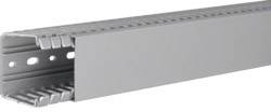 Hager Verdrahtungskanal (L x B x H) 2000 x 60 x 60 mm 1 St. Stein-Grau