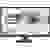 Asus VA249HE LCD-Monitor 60.5cm (23.8 Zoll) EEK F (A - G) 1920 x 1080 Pixel Full HD 5 ms HDMI®, VGA VA LCD
