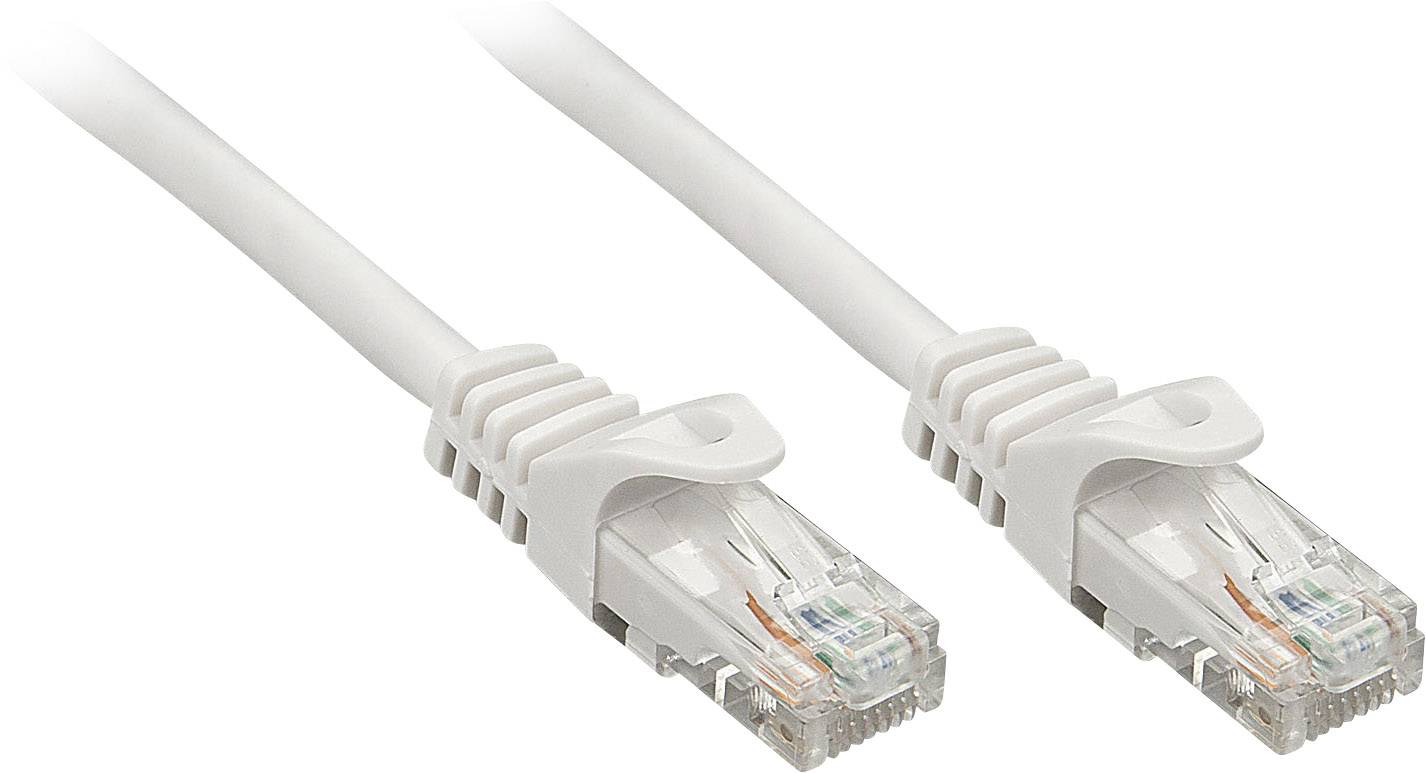 Zwei weiße Ethernet-Kabel mit RJ-45-Steckern, nebeneinander liegend, auf einem weißen Hintergrund. Sie sind für Netzwerkverbindungen gedacht.
