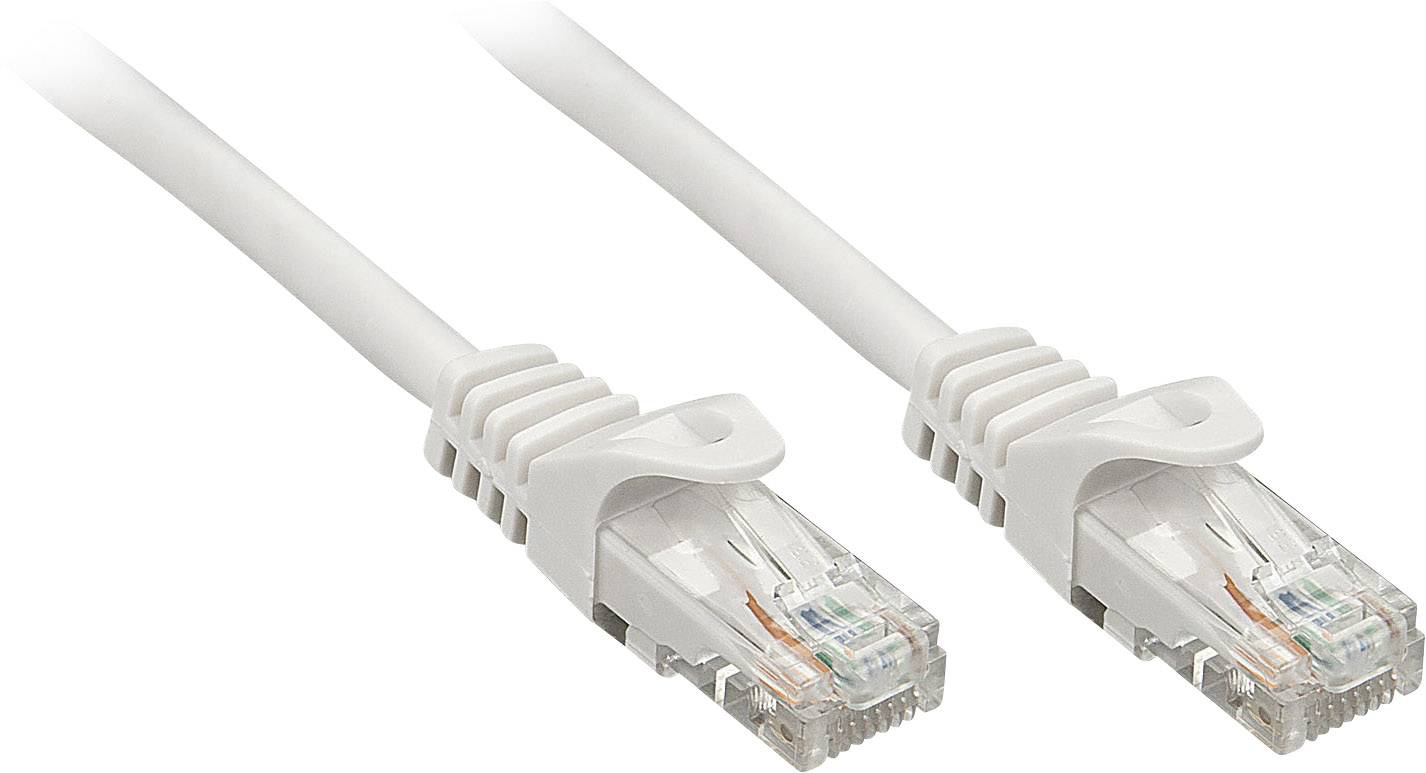 Zwei weiße Ethernet-Kabel mit durchsichtigen Anschlüssen.