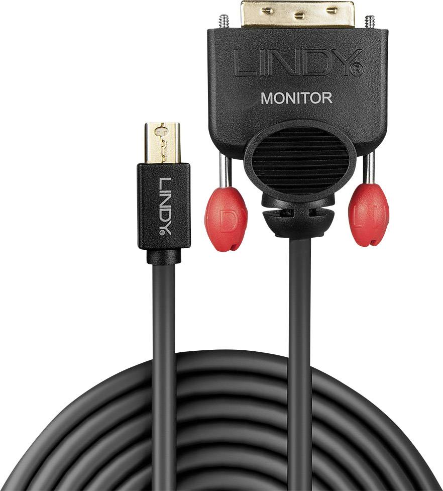 DVI-zu-DisplayPort-Kabel mit schwarzem Kabel und Steckverbindern in Nahaufnahme; Aufschrift 'LINDY MONITOR' auf Stecker.