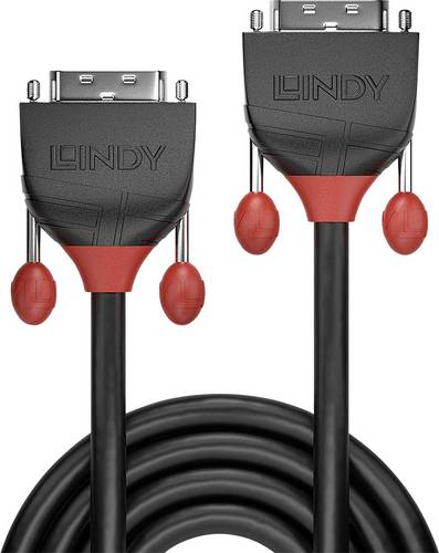 LINDY DVI Anschlusskabel DVI-D 18+1pol. Stecker, DVI-D 18+1pol. Stecker 2.00 m Schwarz 36256 DVI-Ka