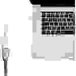 LINDY 41021 DisplayPort / Mini-DisplayPort Adapterkabel [1x DisplayPort Buchse - 1x Mini-DisplayPort Stecker] Weiß 15.00cm