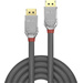 LINDY DisplayPort Anschlusskabel DisplayPort Stecker, DisplayPort Stecker 2.00m Silber 36302 DisplayPort-Kabel