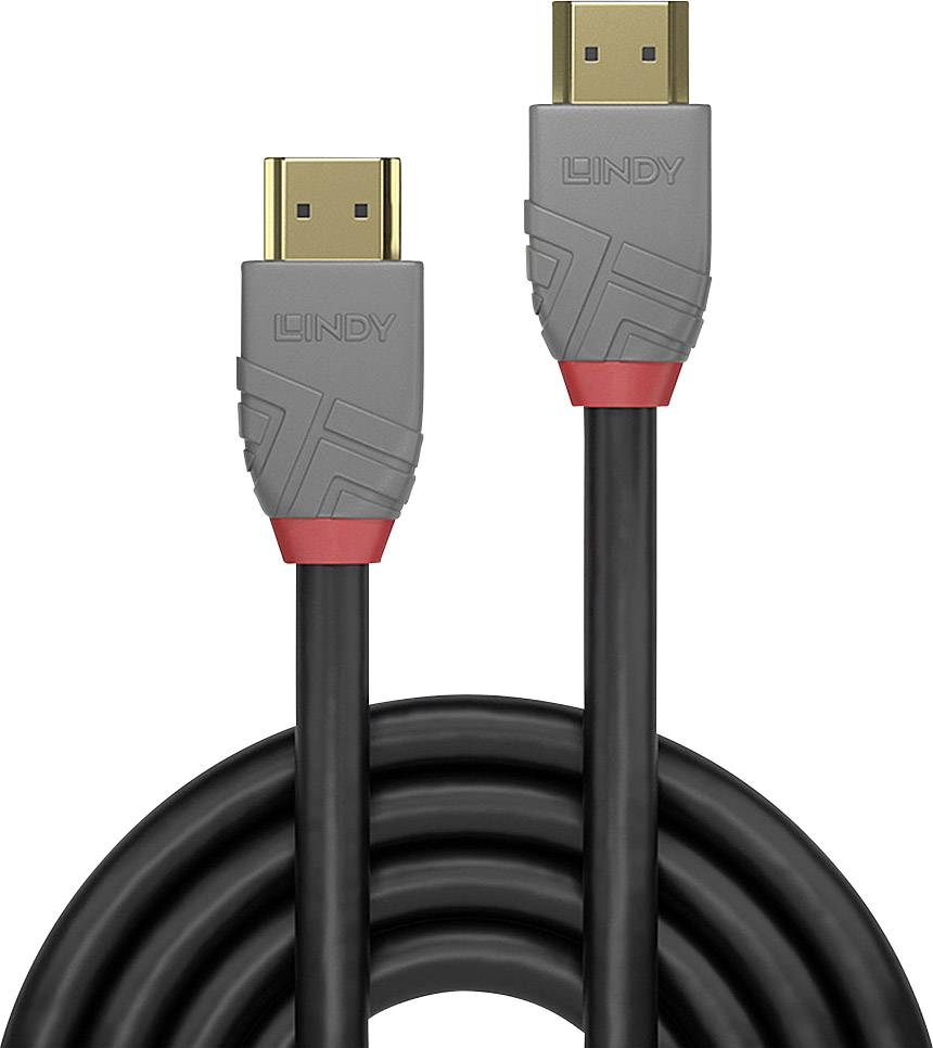 DisplayPort-Kabel schwarz mit grauen Steckern, goldfarbenem Kontakt und rotem Detail. Marke: Lindy.