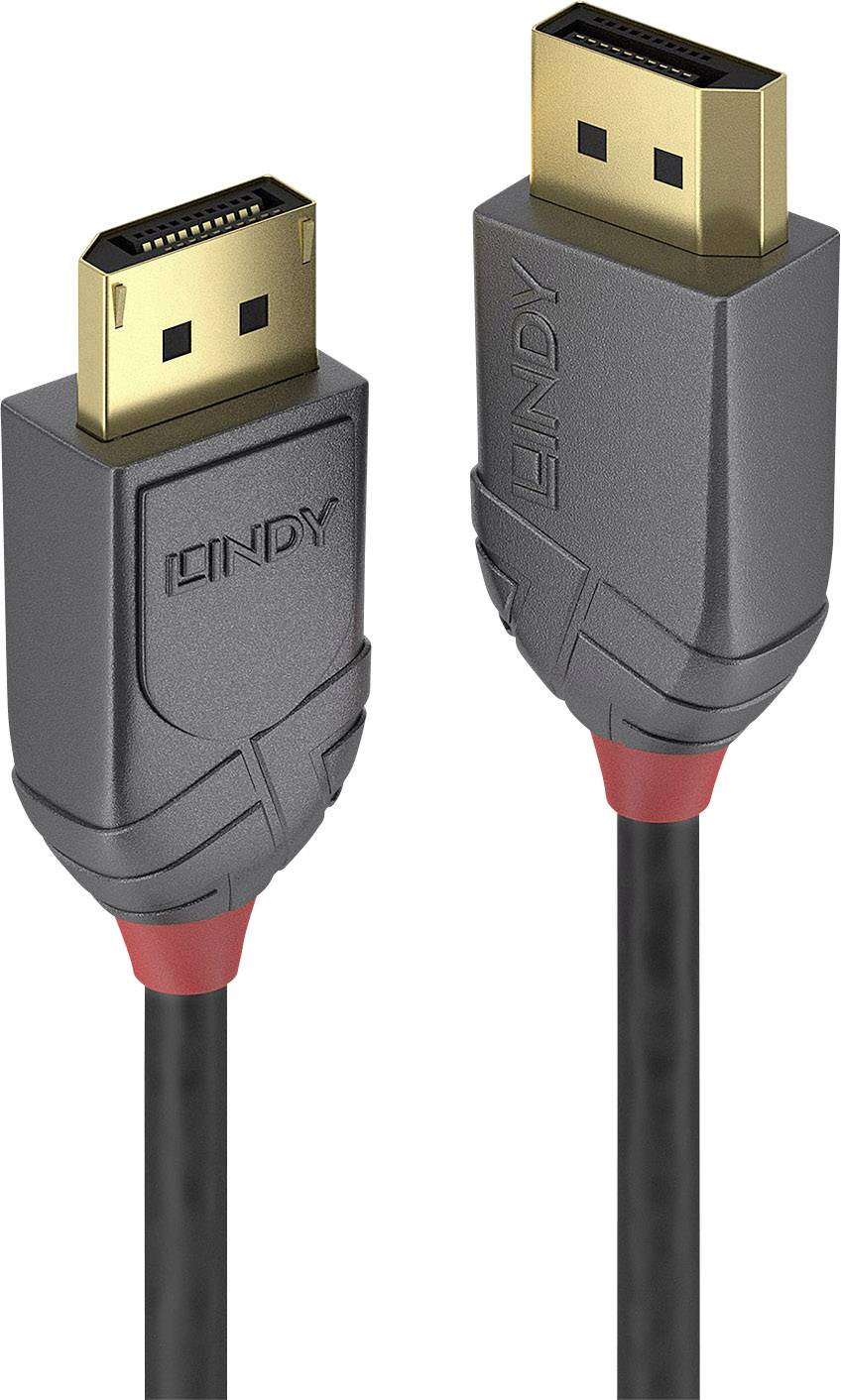 Zwei DisplayPort-Kabel mit schwarzen Kabeln und grauen Steckern, die 'LINDY' beschriftet sind. Geeignet für Audio- und Videoübertragung.