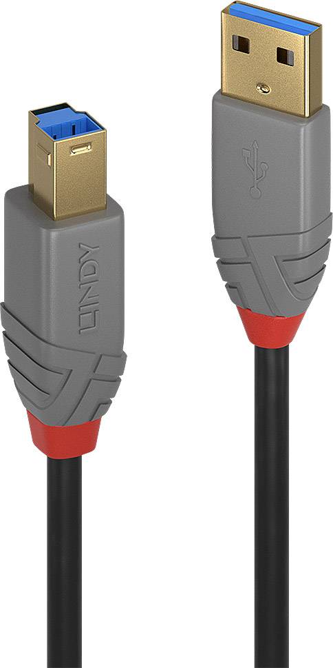 Ein graues USB-Kabel mit einem roten Akzent und blauen Einsätzen an jedem Ende, geeignet für Datenübertragung und Ladezwecke.