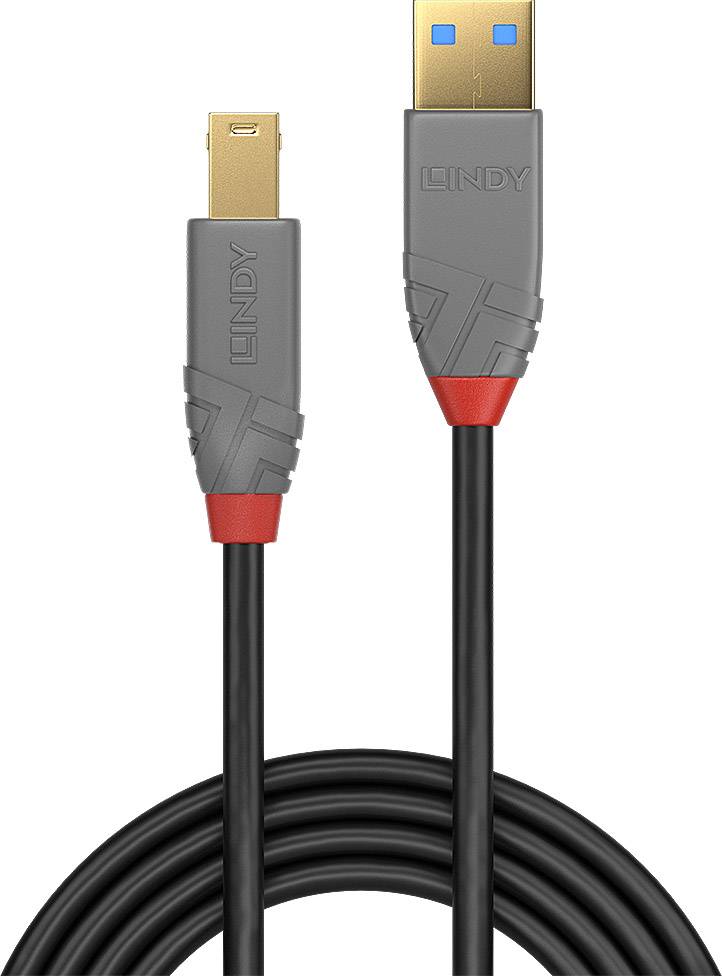 Ein graues USB-Kabel mit goldenen Anschlüssen, einem Standard-USB-Anschluss auf der einen Seite und einem kleineren Stecker auf der anderen.
