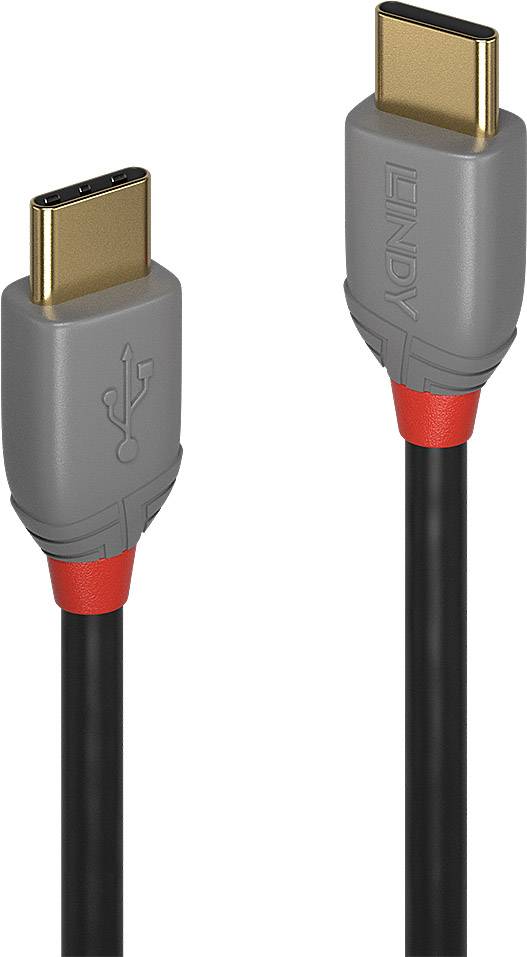 USB-C-Kabel mit zwei grauen und roten Steckern, geeignet für Datenübertragung und Aufladen von Geräten.