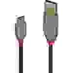 LINDY USB-Kabel USB 2.0 USB-A Stecker, USB-C™ Stecker 50.00cm Schwarz 36885
