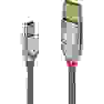LINDY USB-Kabel USB 2.0 USB-A Stecker, USB-Mini-B Stecker 3.00m Grau 36633