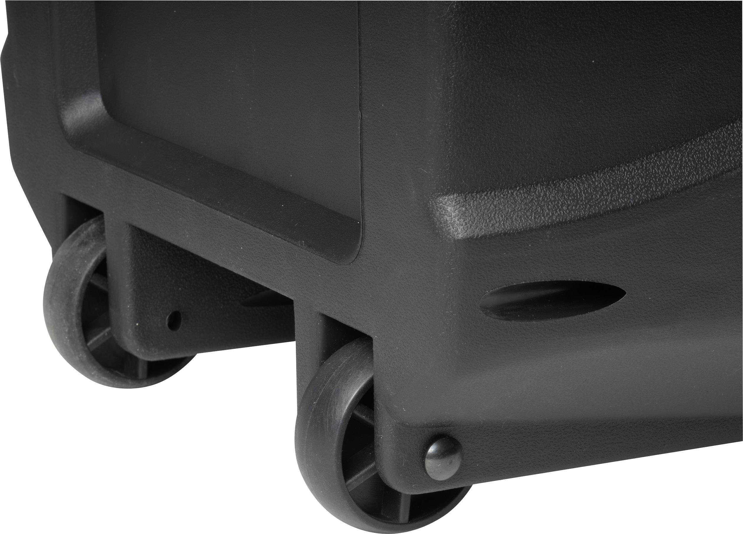 Denver TSP-110 Mobiler Lautsprecher 20.3 cm 8 Zoll 10 W 1 St.