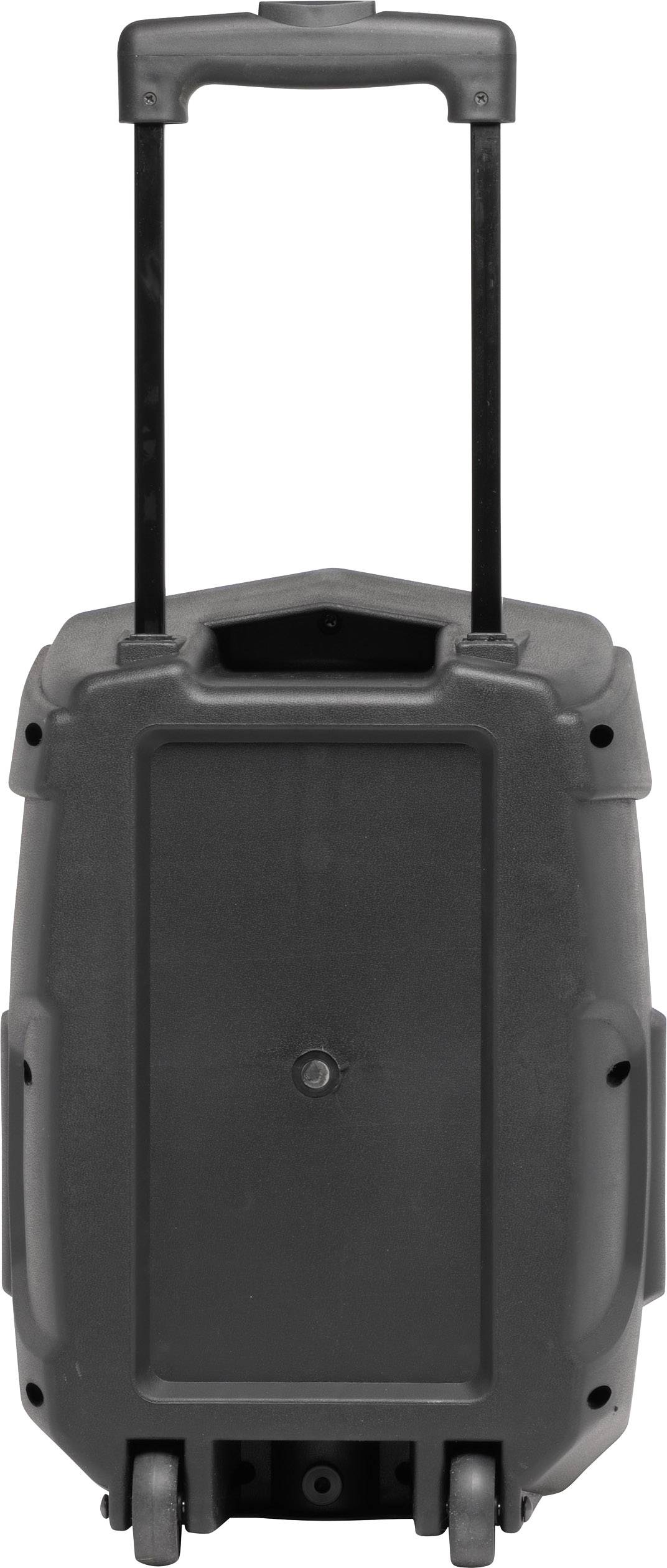 Denver TSP-110 Mobiler Lautsprecher 20.3 cm 8 Zoll 10 W 1 St.