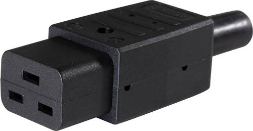 AS Schwabe 62085 Kaltgeräte-Steckverbinder Stecker, gerade Gesamtpolzahl: 2 10 A Schwarz 1 St.