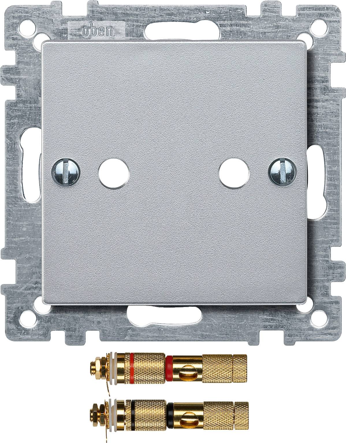 Graue, quadratische Abdeckplatte aus Metall mit zwei horizontalen Öffnungen. Darunter zwei goldene Anschlussstecker mit roten und schwarzen Markierungen.