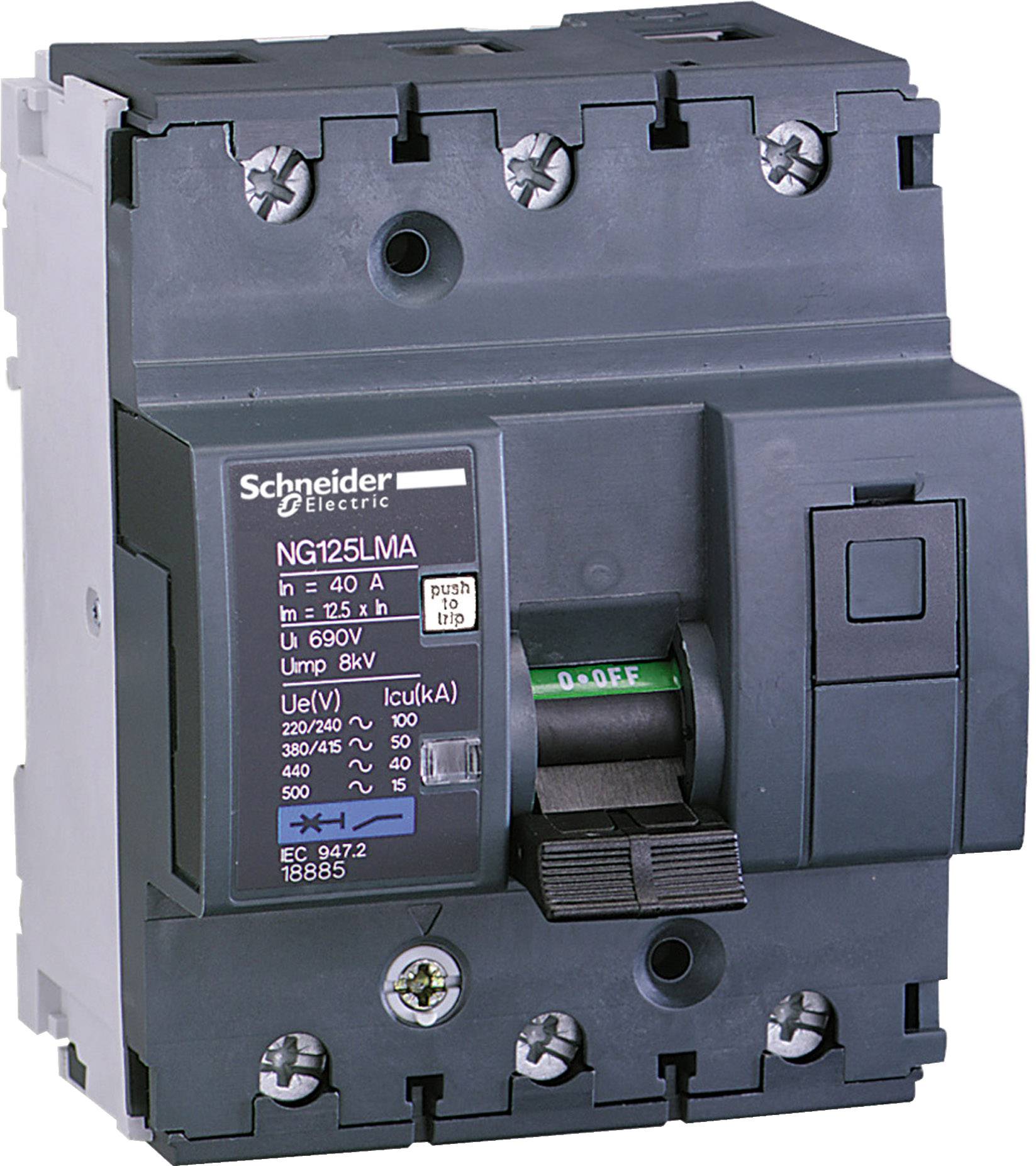 Hauptschalter der Marke Schneider Electric, Modell NG125LMA, mit technischen Details zur elektrischen Kapazität auf der Vorderseite.