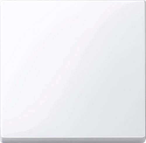Merten Cache Interrupteur va-et-vient System M blanc 432125 1 pc(s)