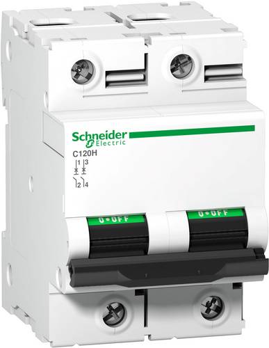 Schneider Electric - Disjoncteur C120H 2P 80 a, courbe b, 15 kA - A9N18413