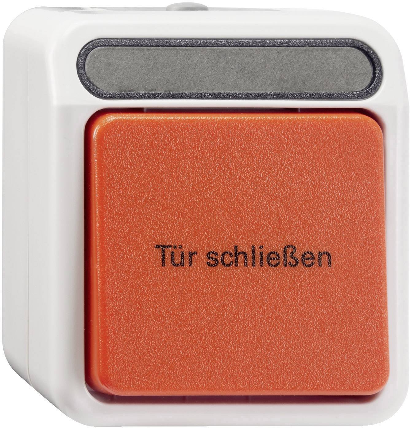 Merten Taster AQUASTAR Lichtgrau MEG3167-8029 1St.