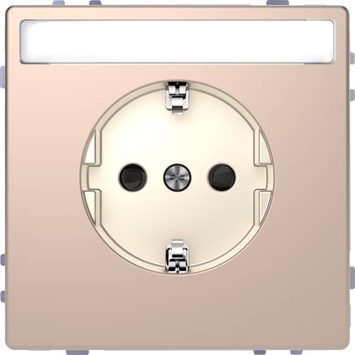 Merten Steckdose System Design Champagner MEG2302-6051