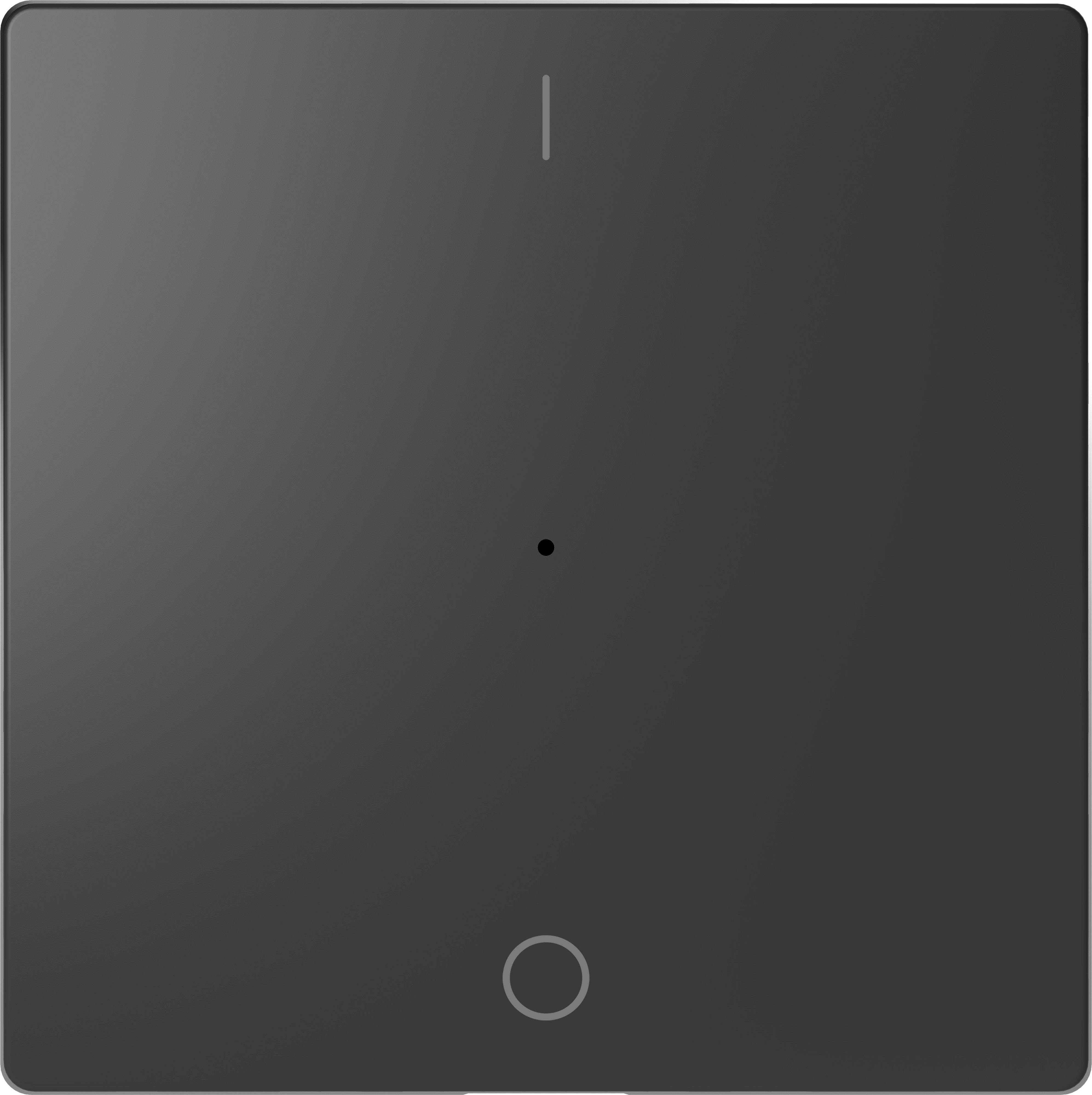 Merten Abdeckung Wechselschalter System Design Anthrazit MEG5211-6034 1St.