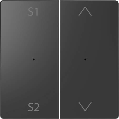 Merten Abdeckung Wechselschalter System Design Anthrazit MEG5227-6034